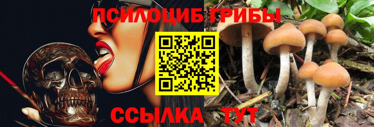 Галлюциногенные грибы MAGIC MUSHROOMS  Галлюциногенные грибы GOLDEN TEACHER  Вход с VPN  Нижнеудинск 